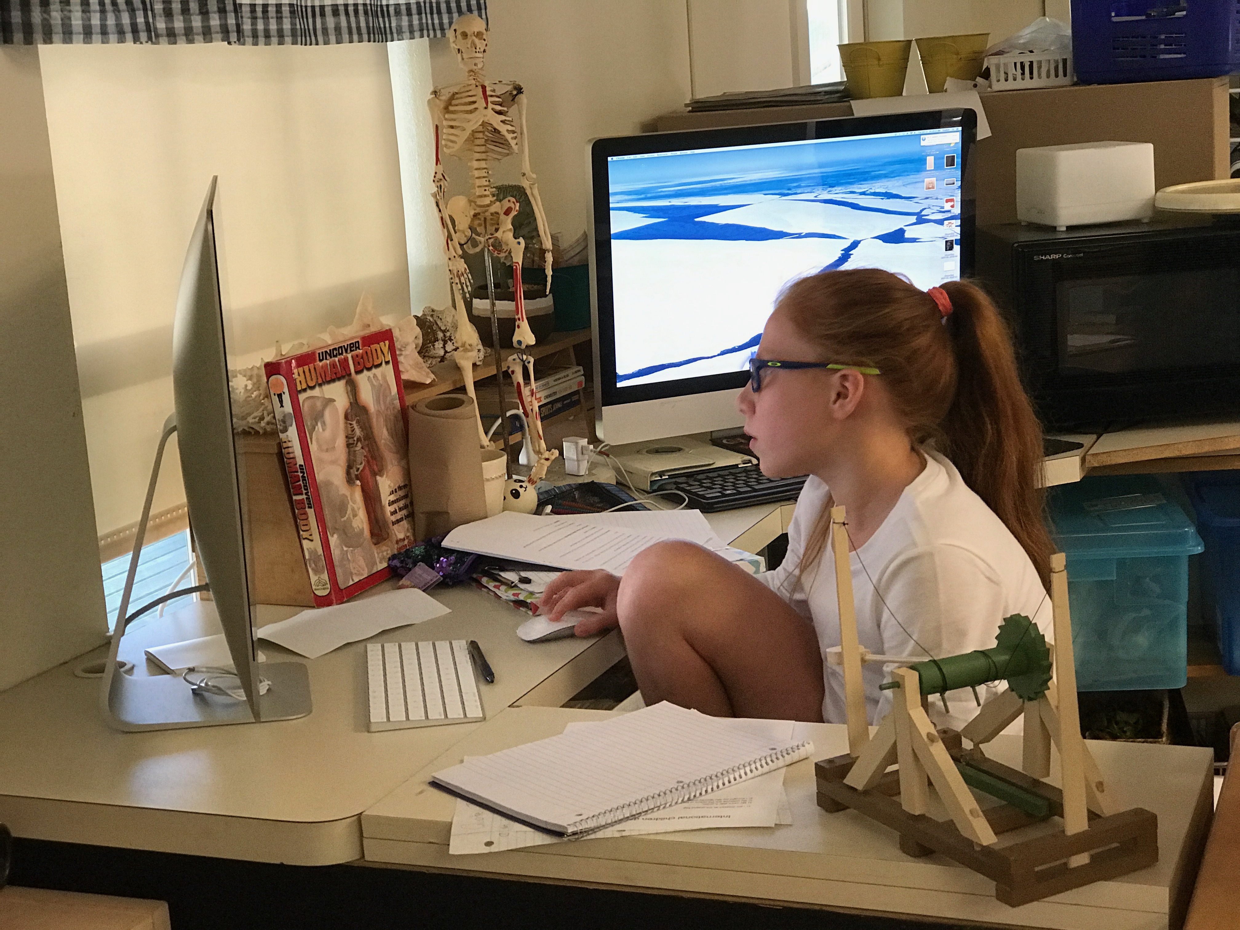 Sarasota Montessori High School student